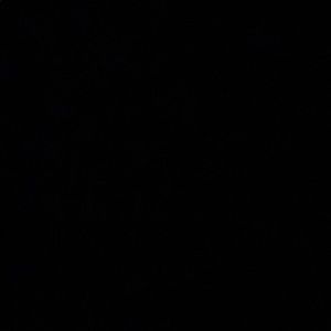 Meet your Posher, Gregory